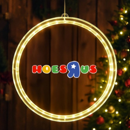 Discover hoes R us LED Christmas Window Lights