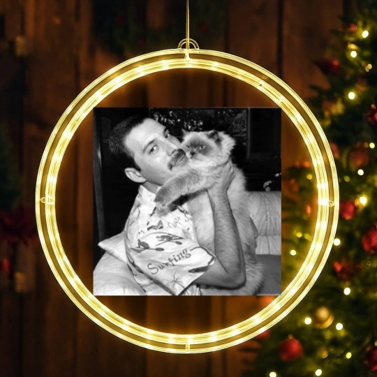 Discover Freddie Mercury and his cat photo LED Christmas Window Lights, Freddie Mercury LED Christmas Window Lights