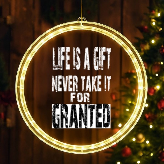 Discover never take life for granted LED Christmas Window Lights