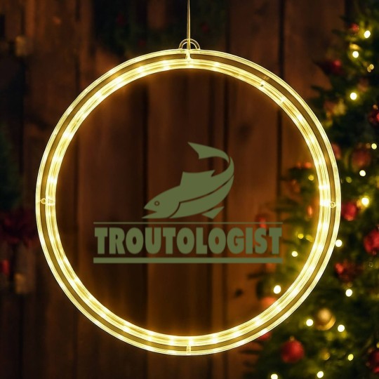Discover Trout Fishing LED Christmas Window Lights