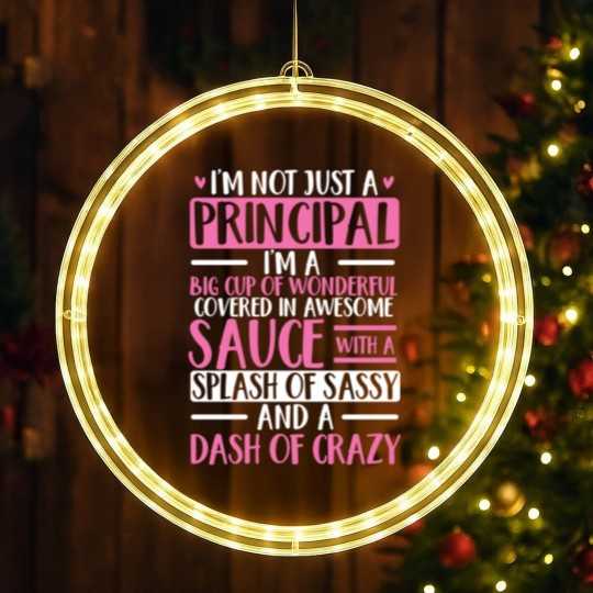 Discover Im Not Just A Principal Cute Humorous Appreciation LED Christmas Window Lights