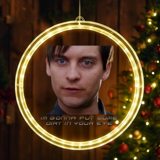 Discover DIRTy Tobey LED Christmas Window Lights