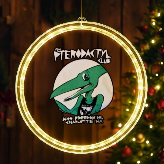 Discover Bird BC  | Essential LED Christmas Window Lights
