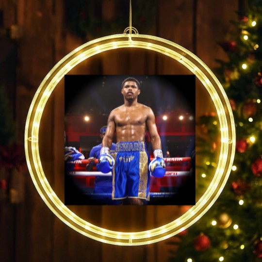 Discover Here comes your Shakur Stevenson, dude  Classic LED Christmas Window Lights