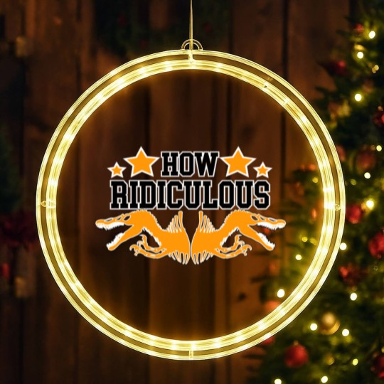 Discover How Ridiculous Rexy LED Christmas Window Lights