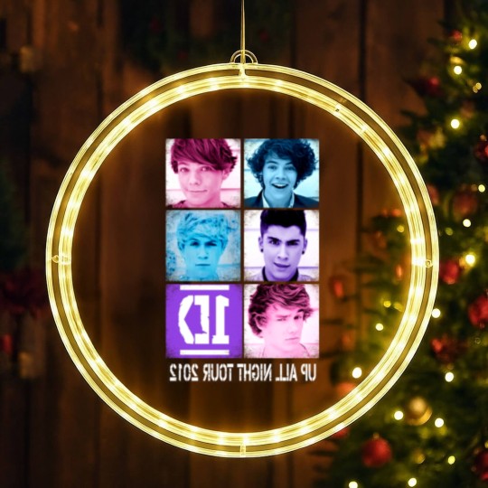 Discover One Direction Up All Night Tour 2012 LED Christmas Window Lights