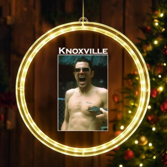 Discover Johnny Knoxville Jackass Movie LED Christmas Window Lights