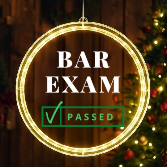 Discover BAR EXAM PASSED! LED Christmas Window Lights