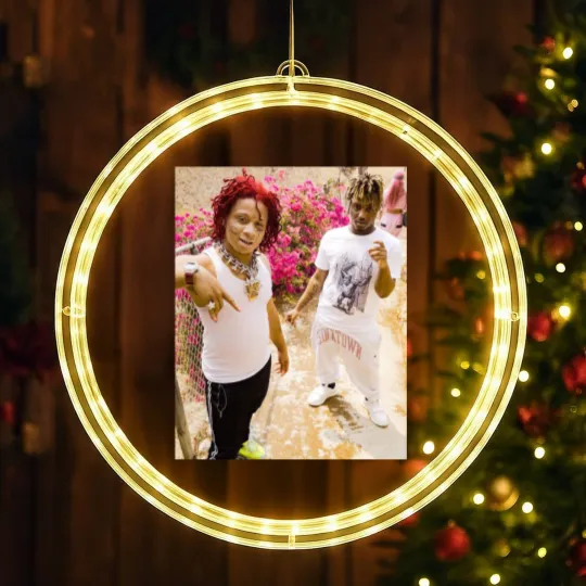 Discover Friends LED Christmas Window Lights
