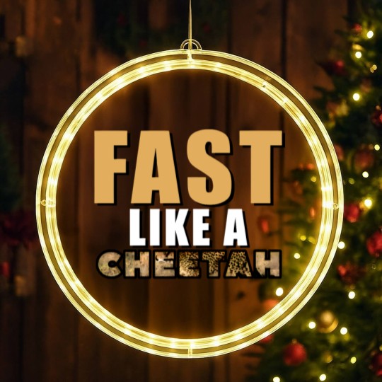 Discover Fast Like A Cheetah LED Christmas Window Lights