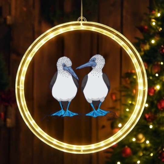 Discover Blue Footed Booby Birds LED Christmas Window Lights