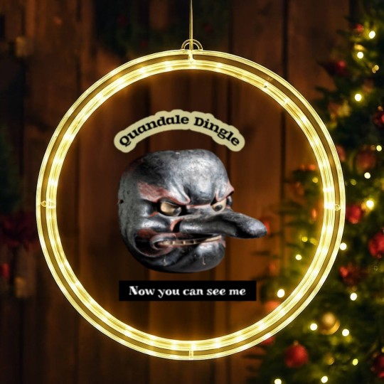 Discover Quandale Dingle funny design LED Christmas Window Lights