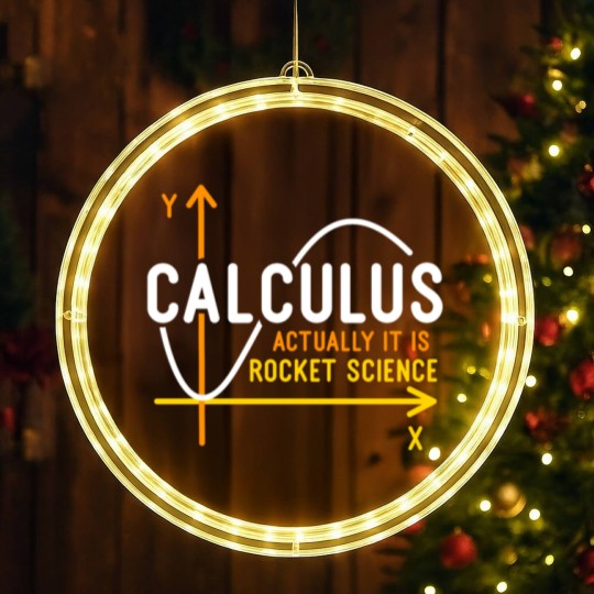 Discover Calculus Is Rocket Science LED Christmas Window Lights