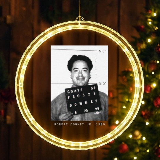 Discover Robert Downey Jr. 1999 Actor Mugshot LED Christmas Window Lights