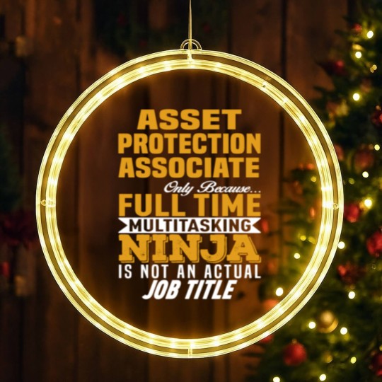 Discover Asset Protection Associate LED Christmas Window Lights
