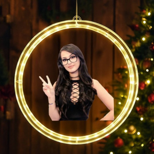 Discover sssniperwolf LED Christmas Window Lights