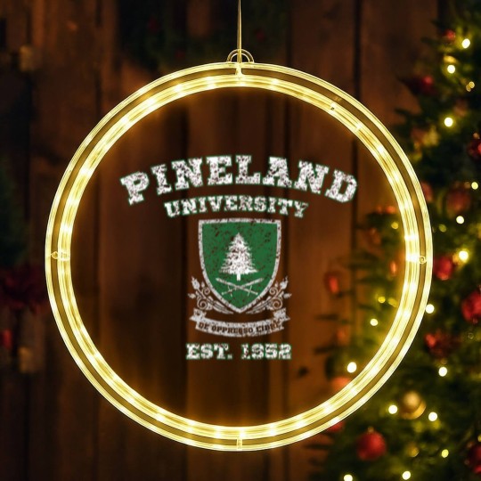 Discover Pineland University Vintage Graphic LED Christmas Window Lights