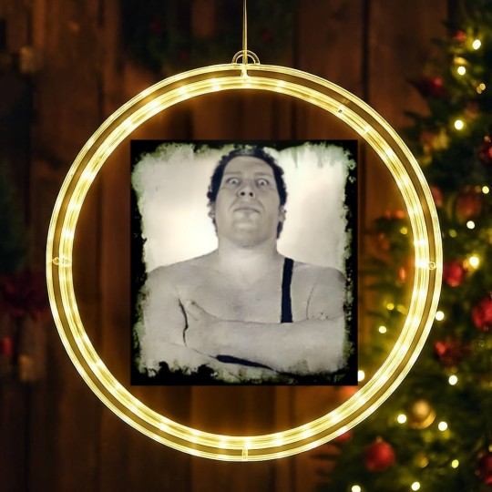 Discover GIANT! - Andre The Giant - LED Christmas Window Lights