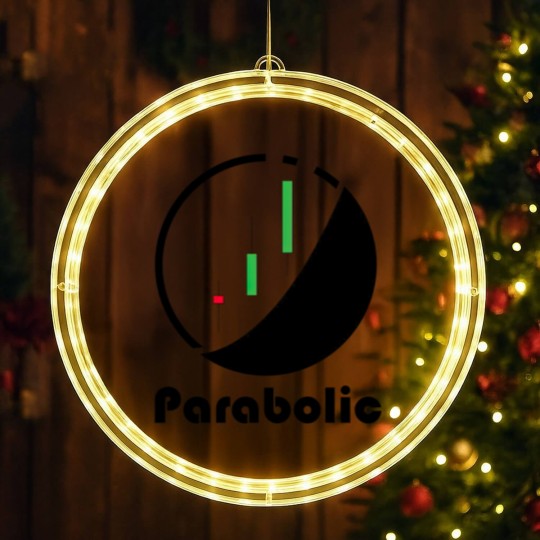 Discover That Parabolic Life - Crypto - LED Christmas Window Lights