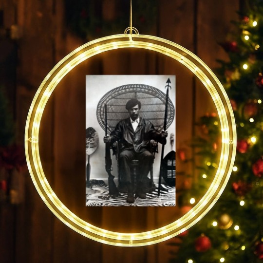 Discover Huey Newton LED Christmas Window Lights
