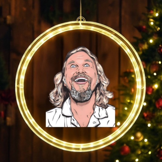 Discover The Dude LED Christmas Window Lights