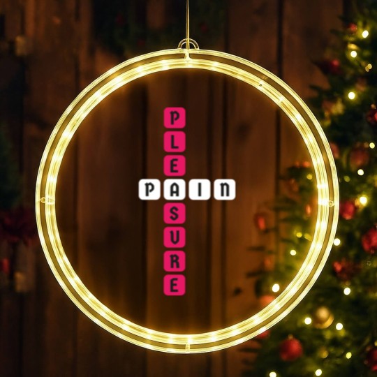 Discover BDSM Sub Dom Pleasure Pain Devot Dominant Fetish LED Christmas Window Lights
