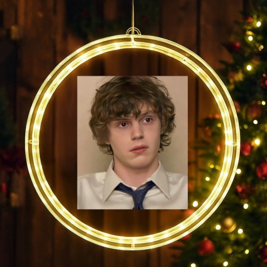 Discover EVAN PETERS LED Christmas Window Lights | Evan Peters Homage LED Christmas Window Lights