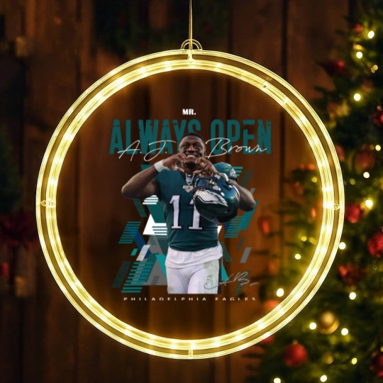Discover AJ Brown LED Christmas Window Lights