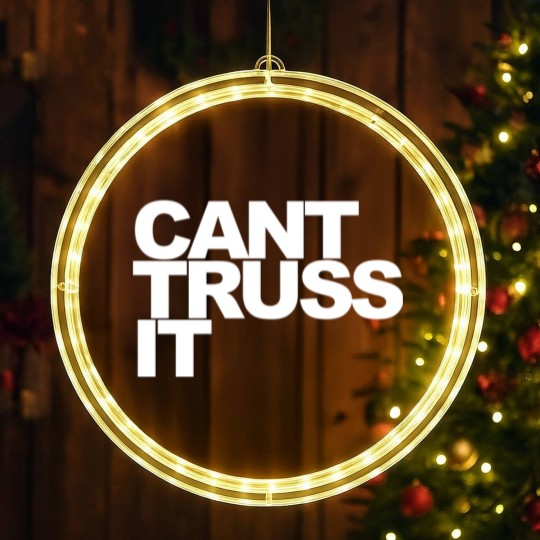 Discover Can’t Truss It LED Christmas Window Lights