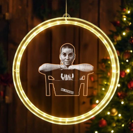 Discover 21 Ani Difranco LED Christmas Window Lights