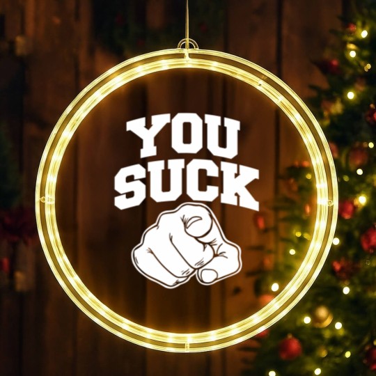 Discover you suck LED Christmas Window Lights
