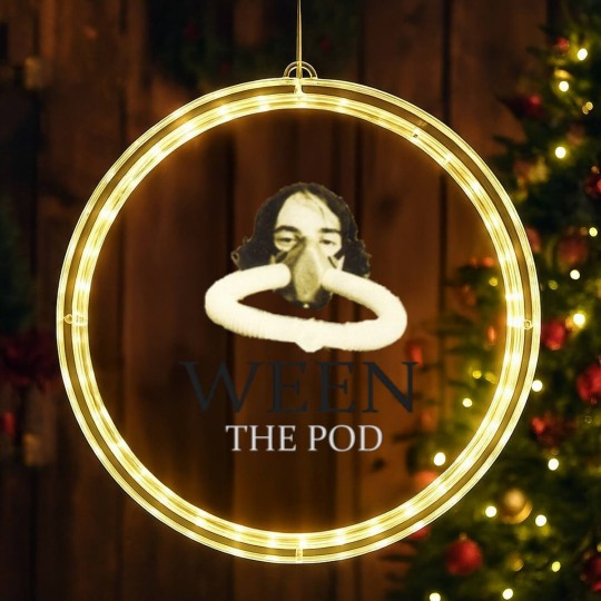 Discover ween the pod LED Christmas Window Lights