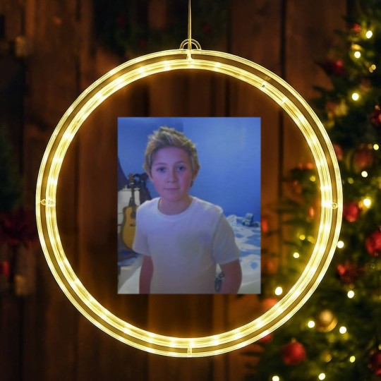 Discover Niall Horan LED Christmas Window Lights LED Christmas Window Lights