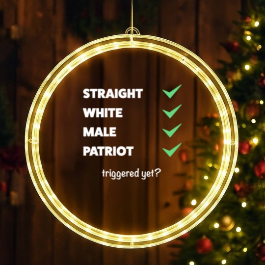 Discover Anti Woke - Funny Conservative LED Christmas Window Lights