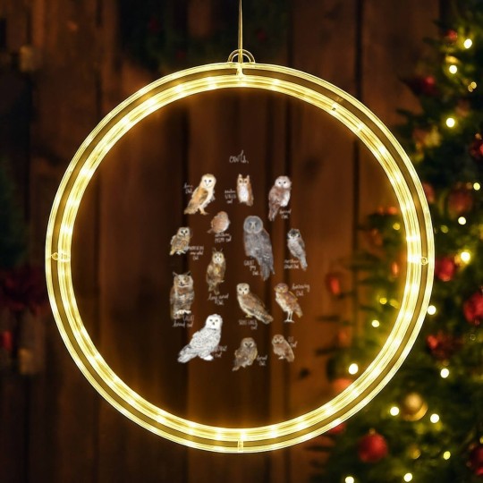Discover Owls LED Christmas Window Lights