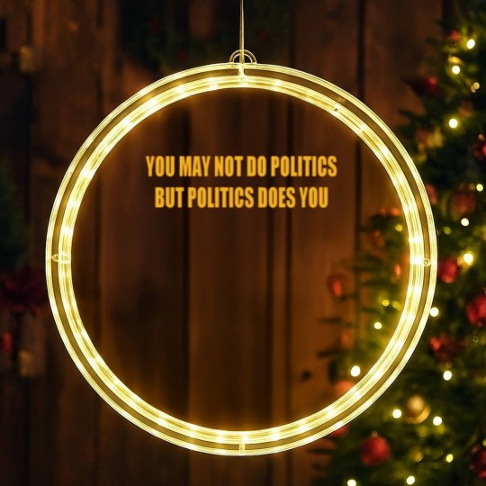 Discover Doing Politics LED Christmas Window Lights