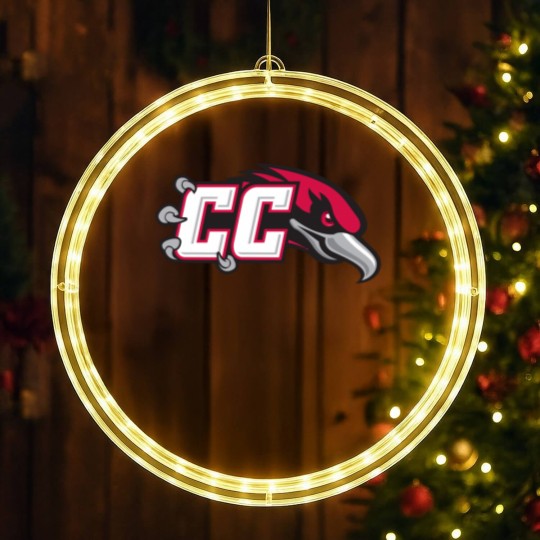 Discover Casper College Athletics Thunderbirds LED Christmas Window Lights
