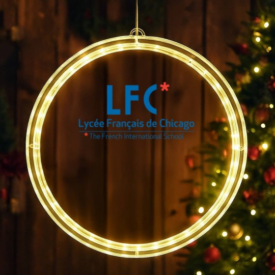 Discover Lycée Français de Chicago LED Christmas Window Lights