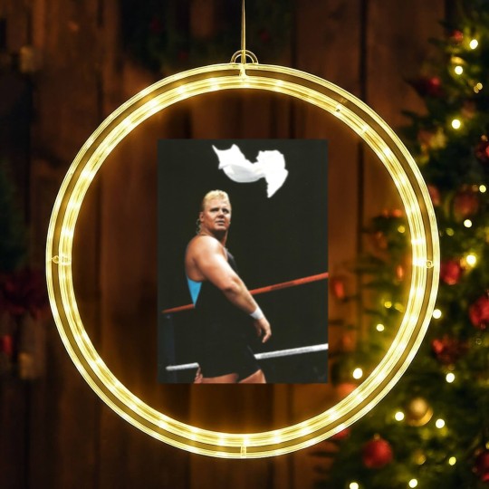 Discover The Perfect Picture Mr Perfect Wrestling LED Christmas Window Lights