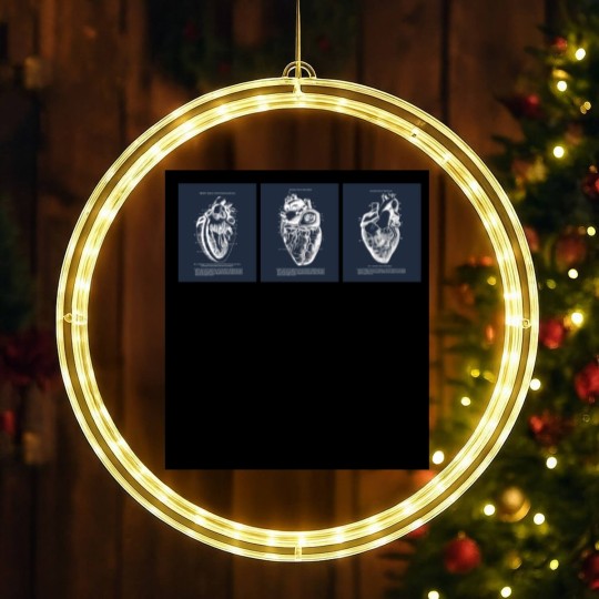 Discover Anatomy Of Human Heart LED Christmas Window Lights