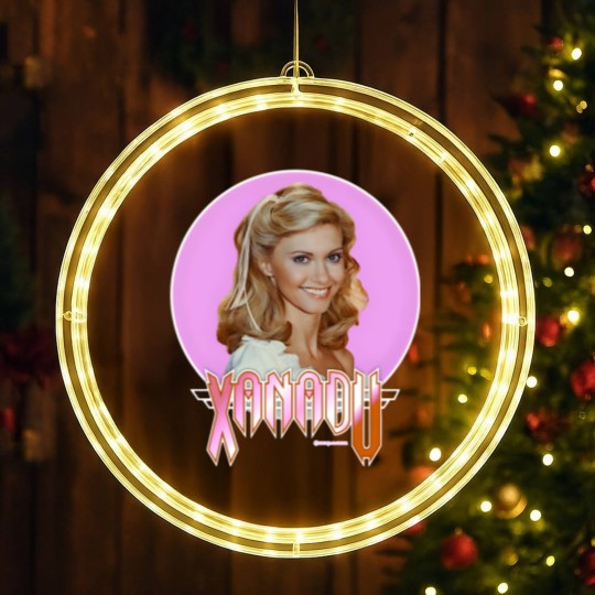 Discover Xanadu Active LED Christmas Window Lights