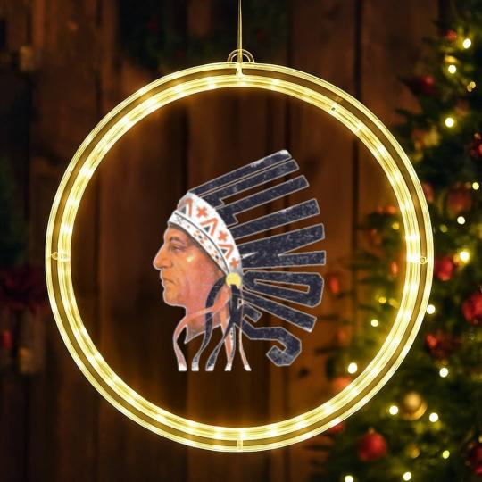 Discover Illinois Old University LED Christmas Window Lights