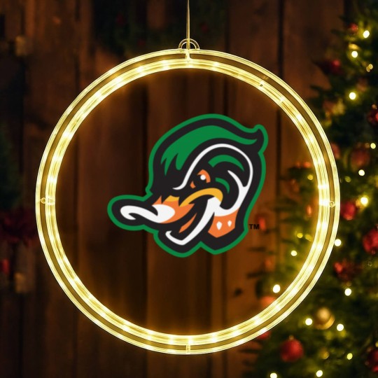 Discover Down East Wood Ducks LED Christmas Window Lights