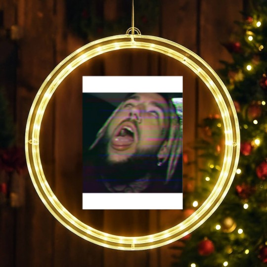 Discover Scrim droppin acid LITCH.jp LED Christmas Window Lights