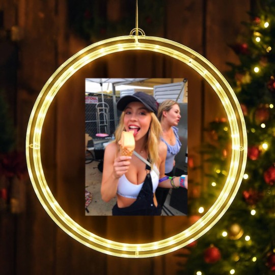 Discover Sydney Sweeney LED Christmas Window Lights