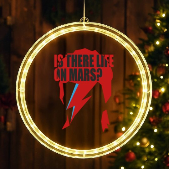 Discover Bowie X LED Christmas Window Lights