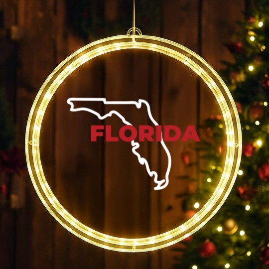 Discover Florida Map Outline - Florida Map - LED Christmas Window Lights