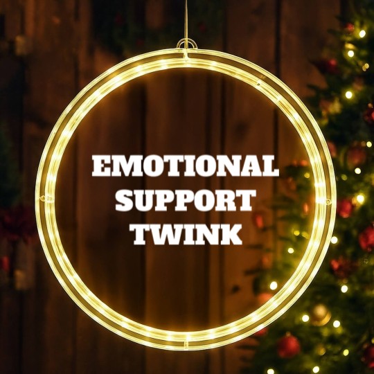 Discover Emotional Support Twink - Emotional Support Twink - LED Christmas Window Lights