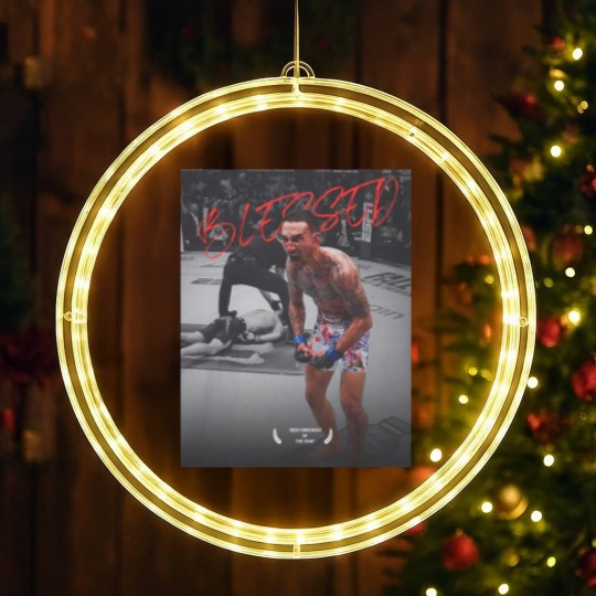 Discover Max Holloway LED Christmas Window Lights | Max Holloway BMF LED Christmas Window Lights