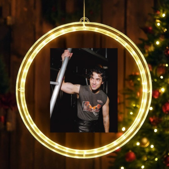 Discover Joe Jonas LED Christmas Window Lights